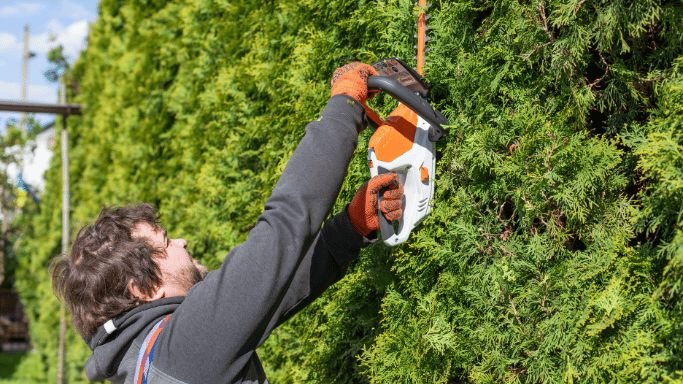 Tree Trimming